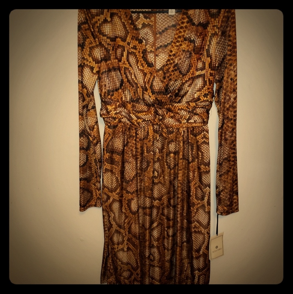 Altuzarra Dress